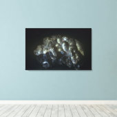 Toile La goéthite est un important minerai de fer (Insitu (Plancher de Bois))