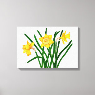 Toile La jonquille fleurit l'illustration pour aquarelle