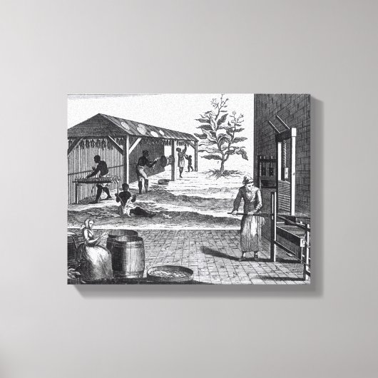 Toile La manufacture de tabac dans différentes branches (Recto)