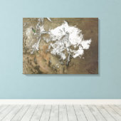 Toile La neige couvre les montagnes Rocheuses aux États- (Insitu (Plancher de Bois))