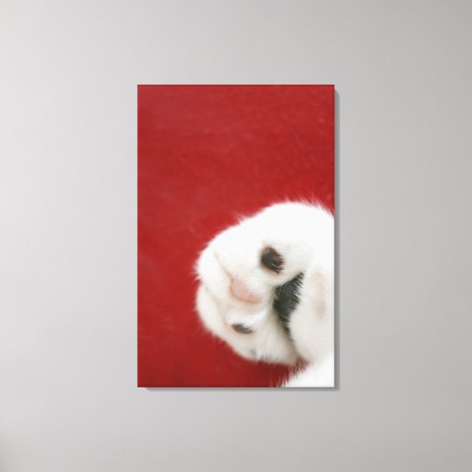 Toile La patte du chat (Recto)