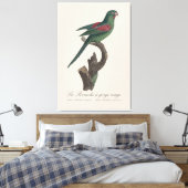 Toile La Perruche a gorge rouge (Insitu(Chambre))