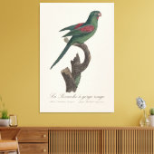 Toile La Perruche a gorge rouge (Insitu(Salon))