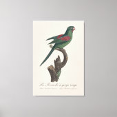 Toile La Perruche a gorge rouge (Recto)