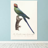 Toile La Perruche a nuque et joues rouges (Insitu (Plancher de Bois))
