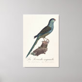 Toile La Perruche ingambe (Recto)