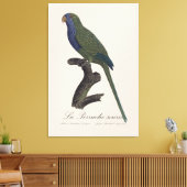 Toile La Perruche souris / Monk Parakeet (Insitu(Salon))