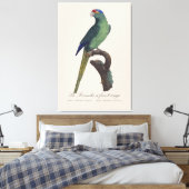 Toile La Perruche un front rouge (Insitu(Chambre))