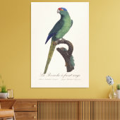 Toile La Perruche un front rouge (Insitu(Salon))