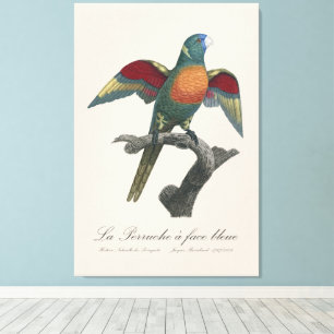 Toile La Perruche une face bleue