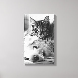 Toile La photographie du meilleur des amis