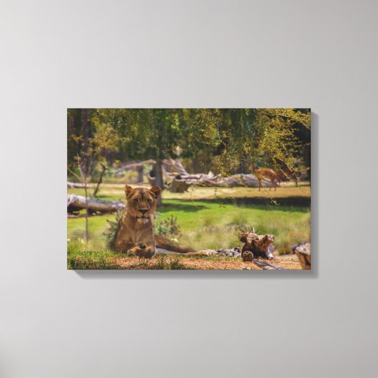 Toile La reine (Recto)