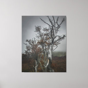 Toile La résilience de la nature : forêt de Terre de Feu