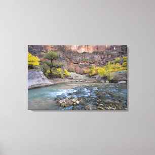 Toile La rivière Virgin en automne dans le parc national