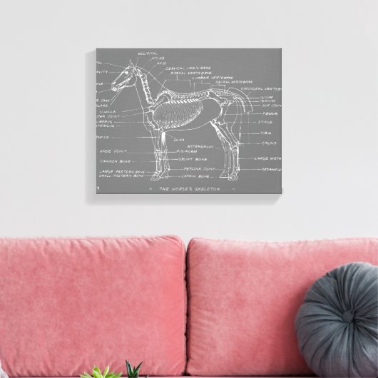 TOILE LA SQUELETTE DU CHEVAL (Insitu(Salon))