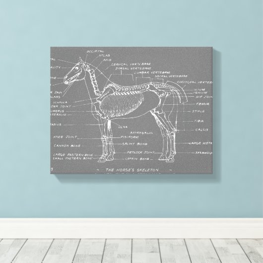 TOILE LA SQUELETTE DU CHEVAL (Insitu (Plancher de Bois))