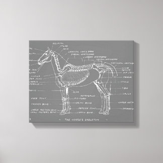 TOILE LA SQUELETTE DU CHEVAL