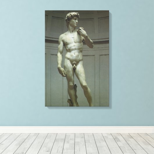 Toile La statue de David de Michel-Ange (Insitu (Plancher de Bois))
