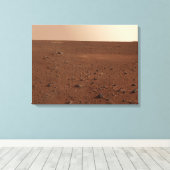 Toile La surface rocheuse de Mars (Insitu (Plancher de Bois))