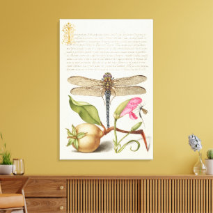 Toile La vie du jardin, Libellule, Poire, Œillet et Inse