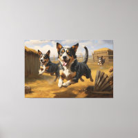 La vie Lancashire Heeler poursuit