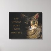 Toile La vie sans chats ? Je ne pense pas ! coutume drôl (Recto)