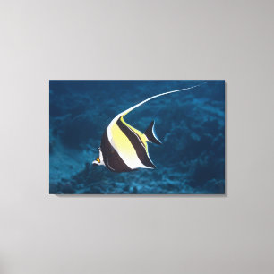Toile La vie sous-marine ; POISSONS : Un idole de