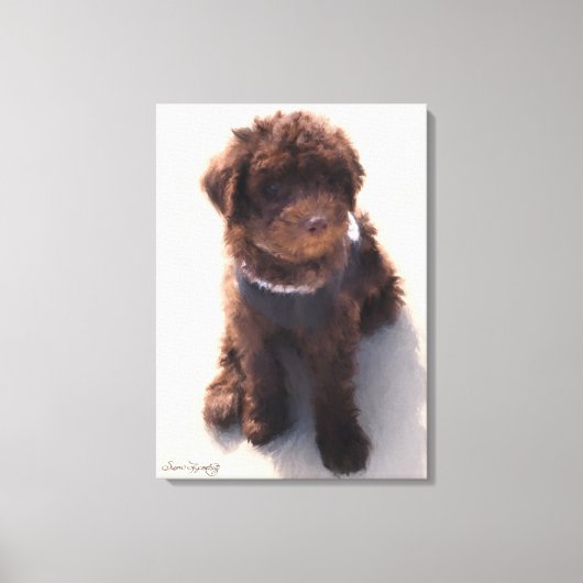 TOILE LABRADOODLE AUSTRALIEN (Recto)