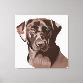 Toile Labrador Brown (Recto)