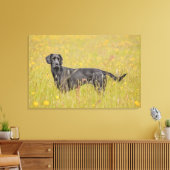 Toile Labrador noir 16 mois (Insitu(Salon))