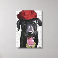 Labrador Noir avec Casquette rouge