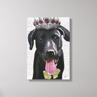 Labrador Noir Avec Tiara