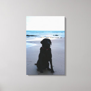 Toile Labrador noir sur une plage