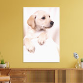 Toile Labrador Puppy (Insitu(Salon))