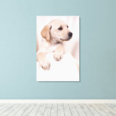 Toile Labrador Puppy (Insitu (Plancher de Bois))