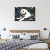 Toile Labrador Puppy (Insitu(Chambre))