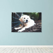 Toile Labrador Puppy (Insitu (Plancher de Bois))