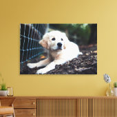 Toile Labrador Puppy (Insitu(Salon))