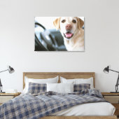 Toile Labrador Retriever (Insitu(Chambre))