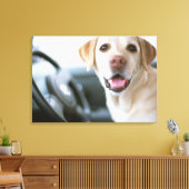Toile Labrador Retriever (Insitu(Salon))
