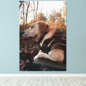 Toile Labrador Retriever Duck Missile sur le lanceur (Insitu (Plancher de Bois))