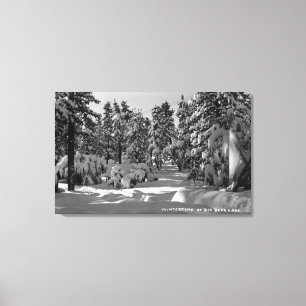 Toile Lac big Bear, CA dans la vue de neige d'hiver