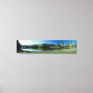 Toile Lac Drift Fence