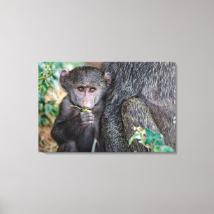 Toile Lac Manyara baboon d'Anubus national. Parc