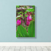 Toile Lady Slipper (Insitu (Plancher de Bois))
