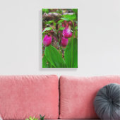 Toile Lady Slipper (Insitu(Salon))