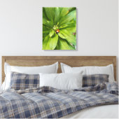 Toile Ladybug (Insitu(Chambre))