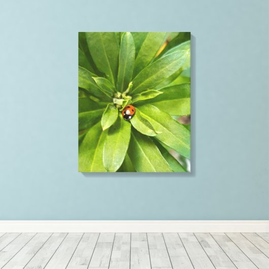 Toile Ladybug (Insitu (Plancher de Bois))