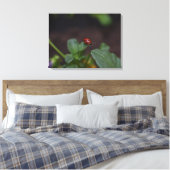 Toile Ladybug (Insitu(Chambre))