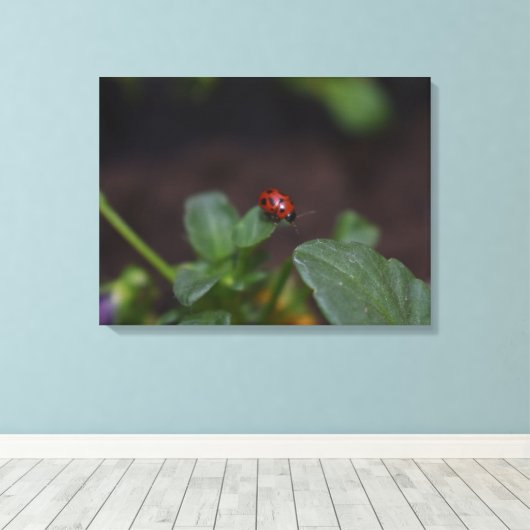 Toile Ladybug (Insitu (Plancher de Bois))